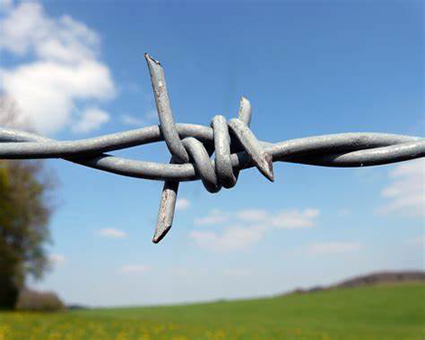 Major Specifications Available For Barbed Wire